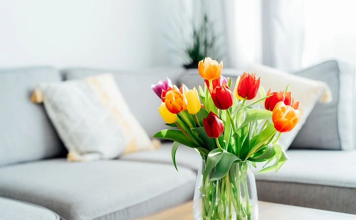 vase of tulips on a table next to a couch
