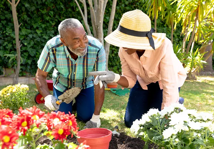 happy seniors gardening